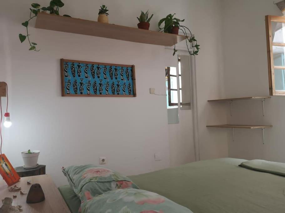 타라팔 Old House 아파트 외부 사진